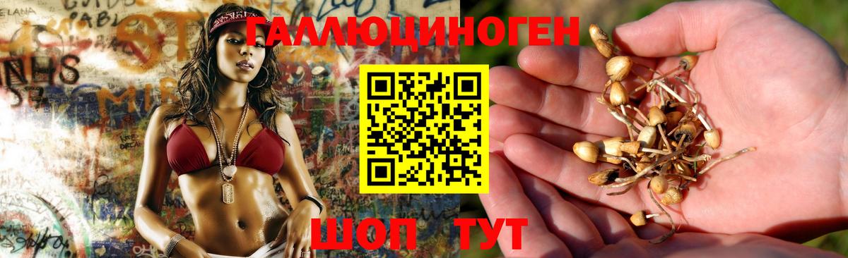 Псилоцибиновые грибы прущие грибы  Вход с VPN  купить  сайты  Гатчина 